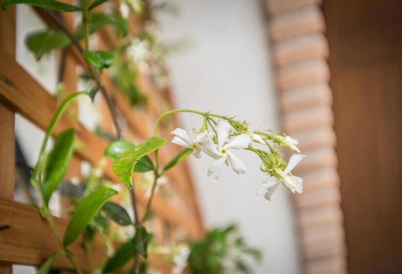 B&b Country House Il Grappolo