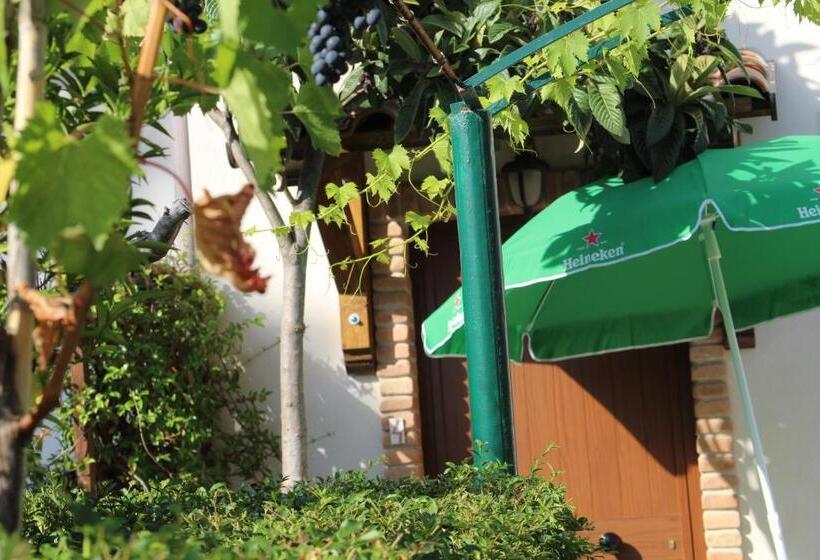 B&b Country House Il Grappolo