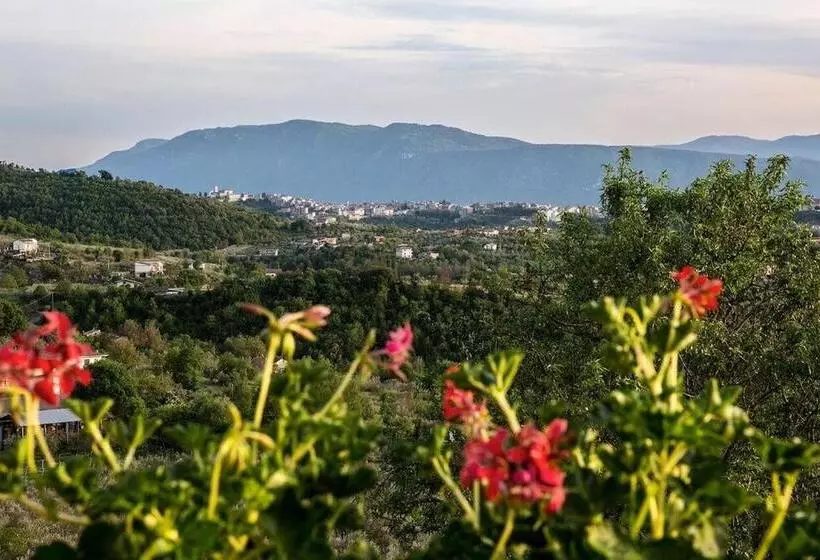 Aamiaismajoitus (B&B) Casale San Pietro