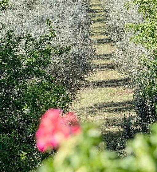 مبيت وإفطار Casale San Pietro