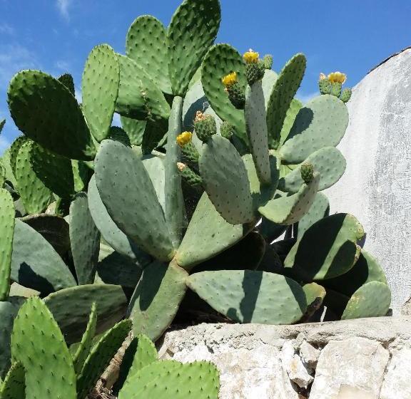 Nocleg ze śniadaniem Il Melograno