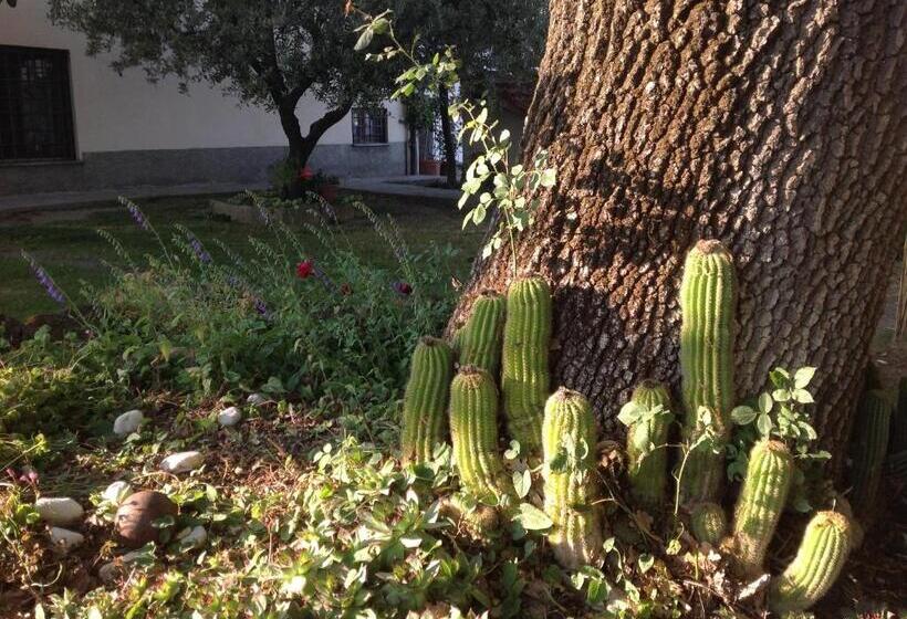 住宿加早餐  La Vecchia Quercia