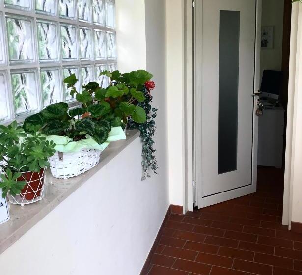 تختخواب و صبحانه Treviso Rooms