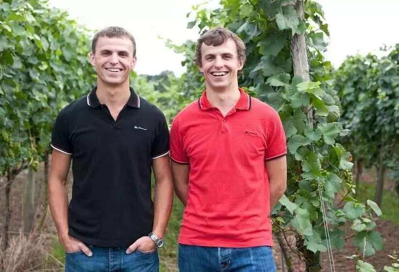 ホテル Felshof   Weingut & Gästehaus