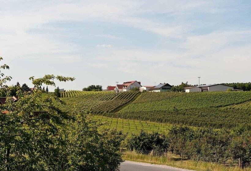 فندق Felshof   Weingut & Gästehaus