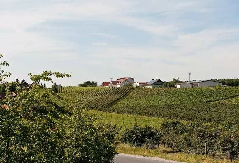 ホテル Felshof   Weingut & Gästehaus