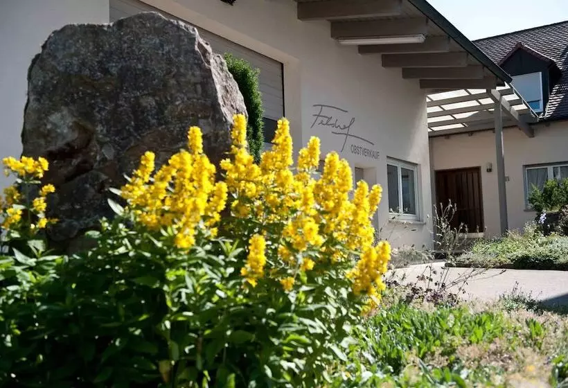 ホテル Felshof   Weingut & Gästehaus