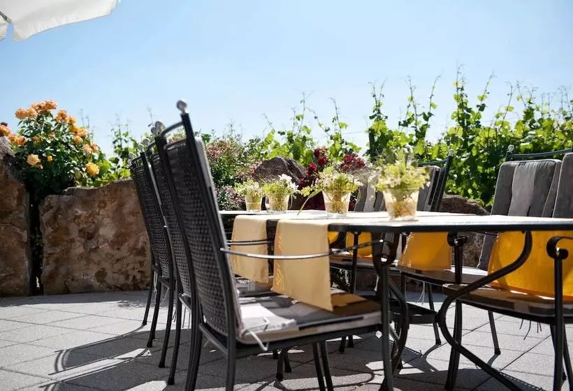 ホテル Felshof   Weingut & Gästehaus