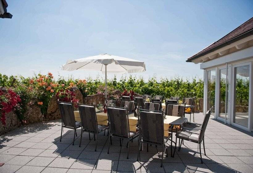 فندق Felshof   Weingut & Gästehaus