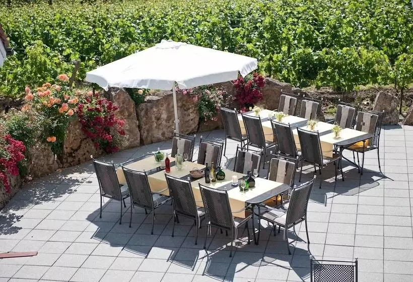 ホテル Felshof   Weingut & Gästehaus