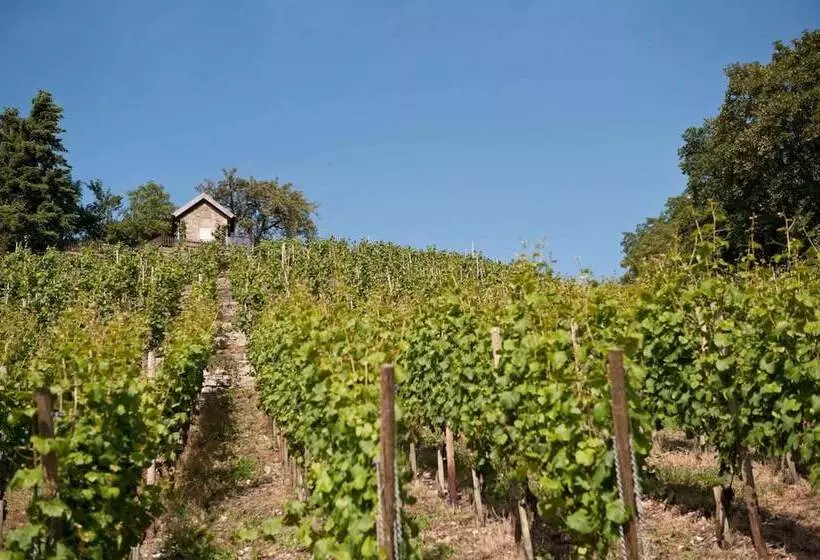 ホテル Felshof   Weingut & Gästehaus