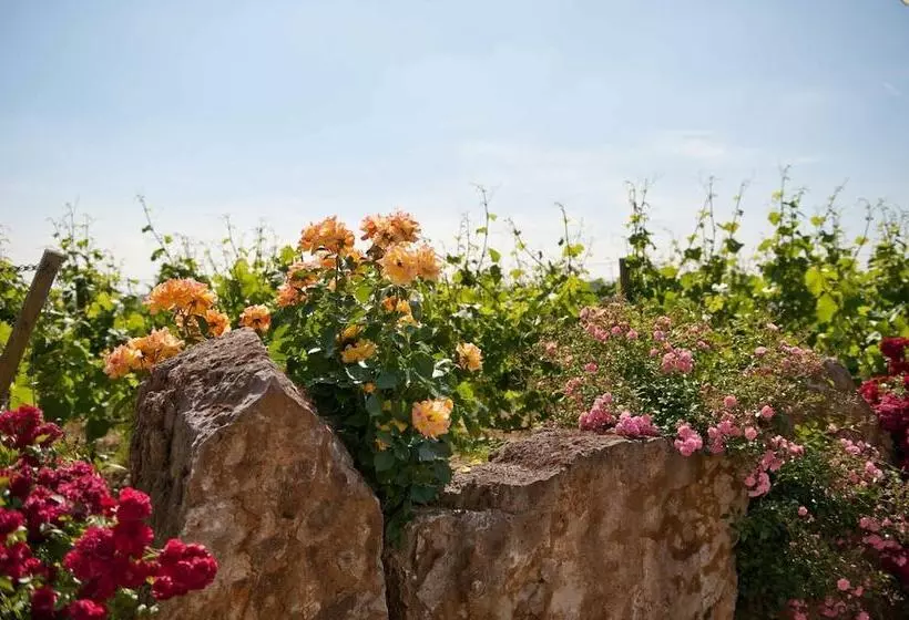 ホテル Felshof   Weingut & Gästehaus
