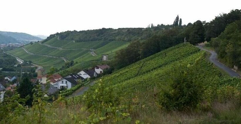 فندق Felshof   Weingut & Gästehaus