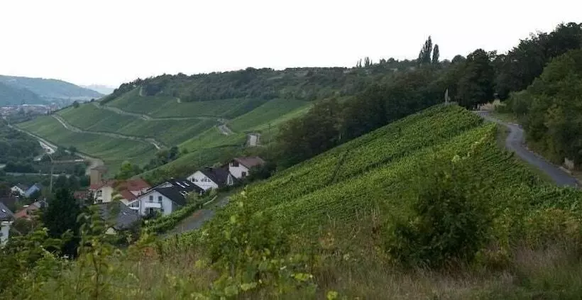 ホテル Felshof   Weingut & Gästehaus