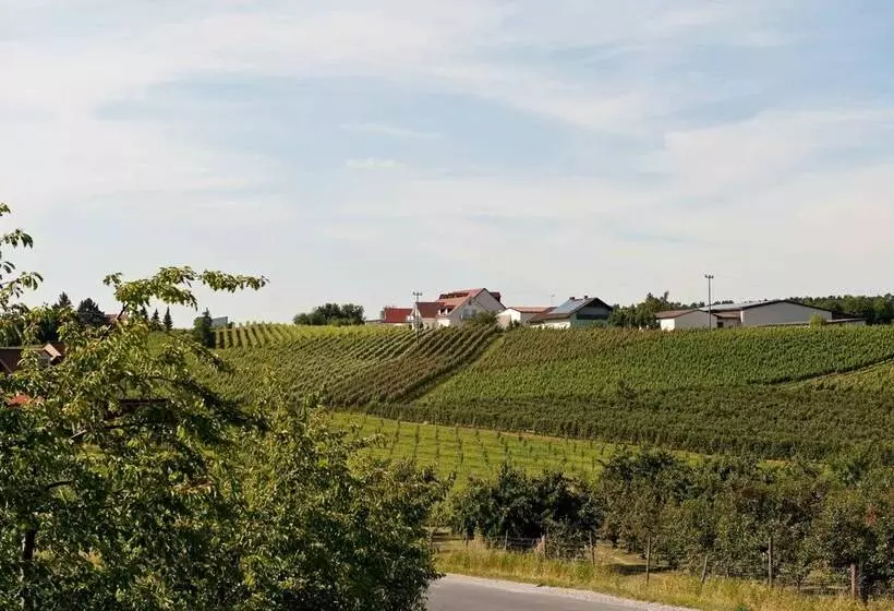 ホテル Felshof   Weingut & Gästehaus