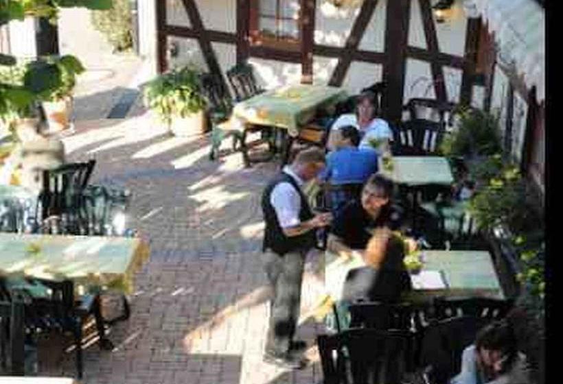 Отель Schützen