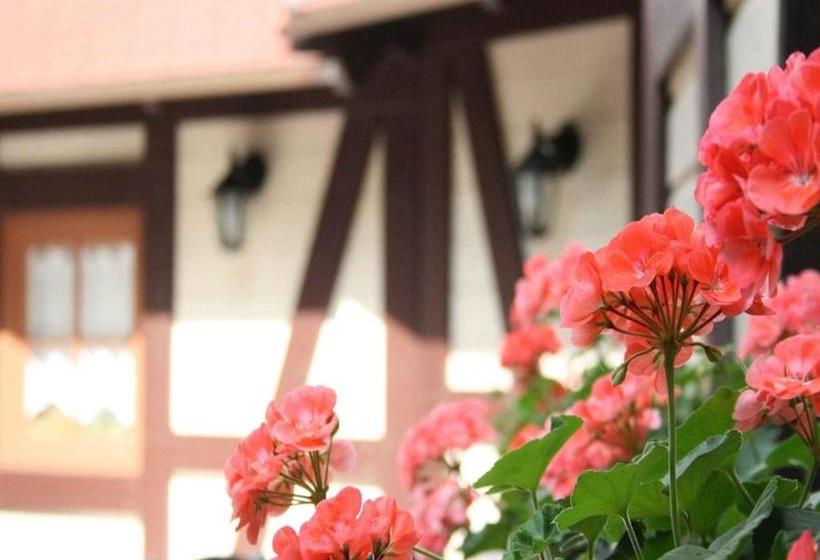 Отель Schützen