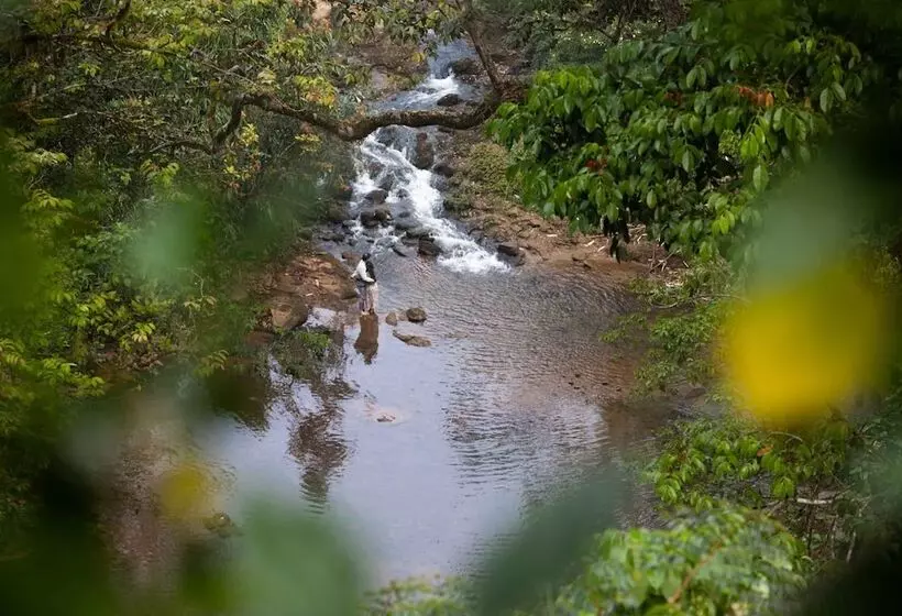 リゾートホテル Ela Ecoland Nature Retreat