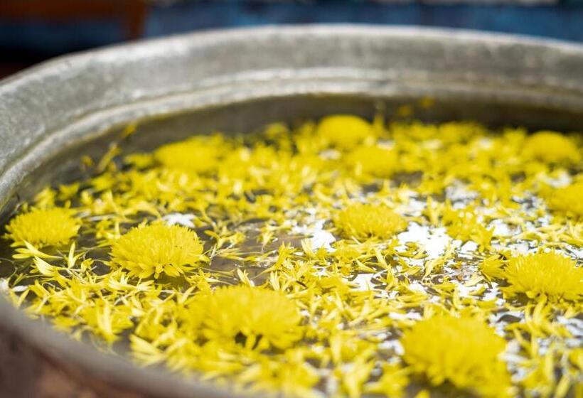 Shaan Coco Palms Beach Resort