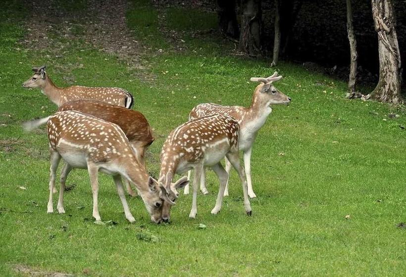 استراحتگاه Villapiana Country House