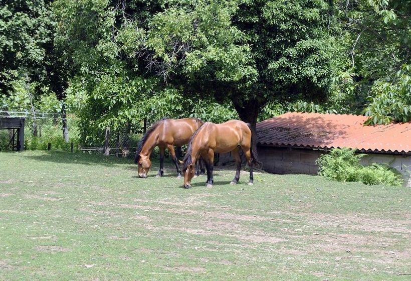 استراحتگاه Villapiana Country House