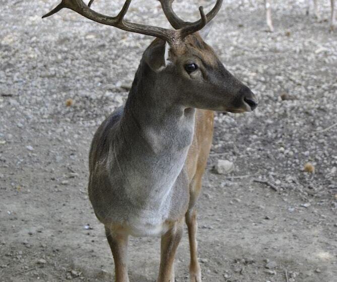 استراحتگاه Villapiana Country House