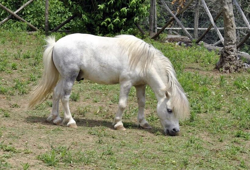 استراحتگاه Villapiana Country House