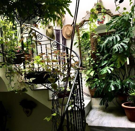 تختخواب و صبحانه Alvorada Rooms