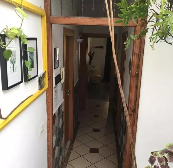 تختخواب و صبحانه Alvorada Rooms