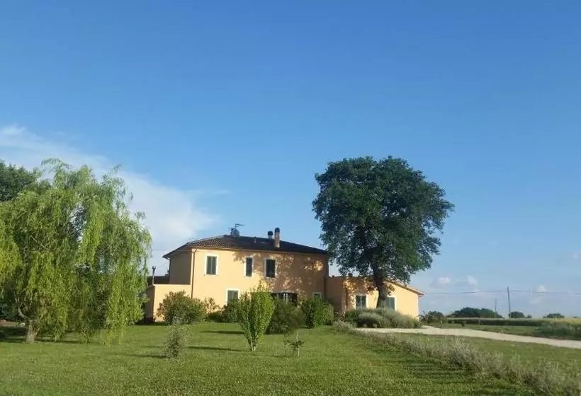 B&b Le Rose