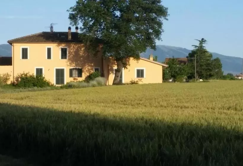 B&b Le Rose