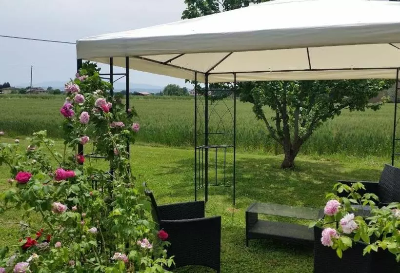 B&b Le Rose