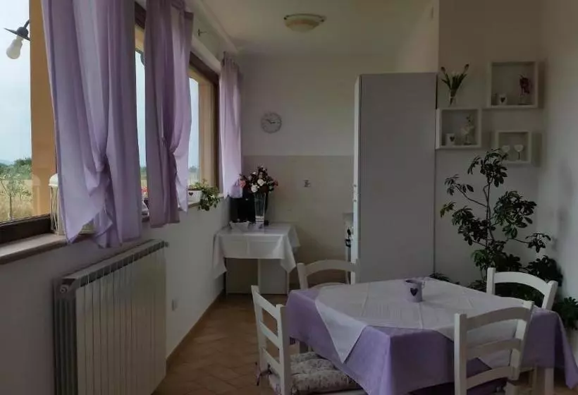 B&b Le Rose