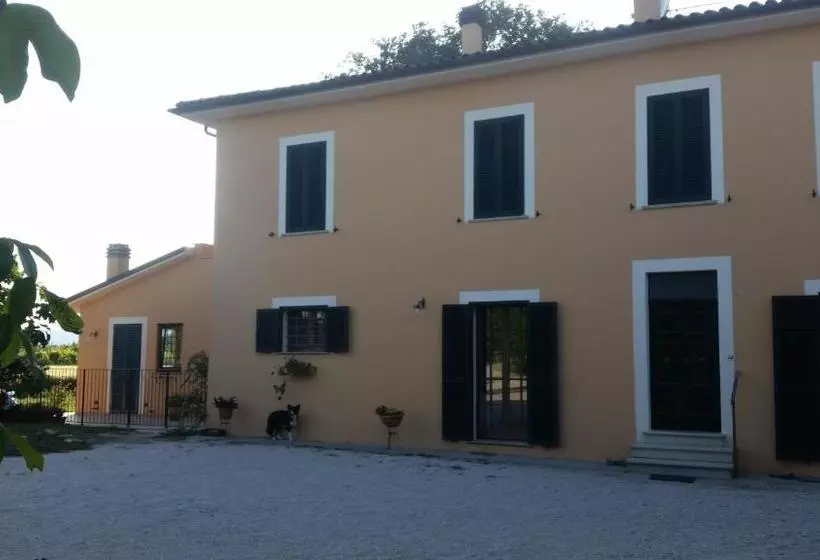 B&b Le Rose