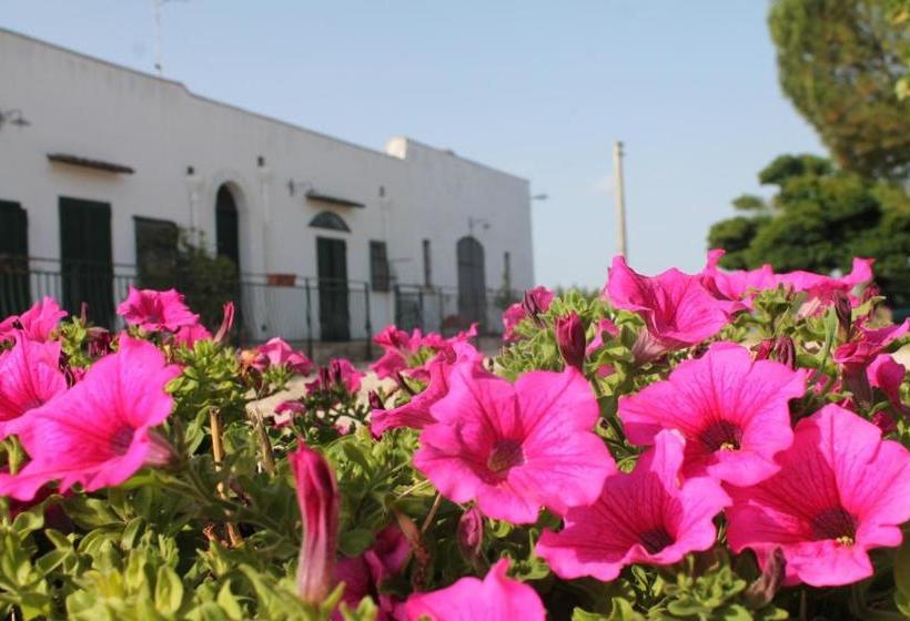 B&b Masseria Cappotto