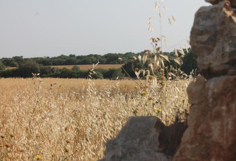 B&b Masseria Cappotto