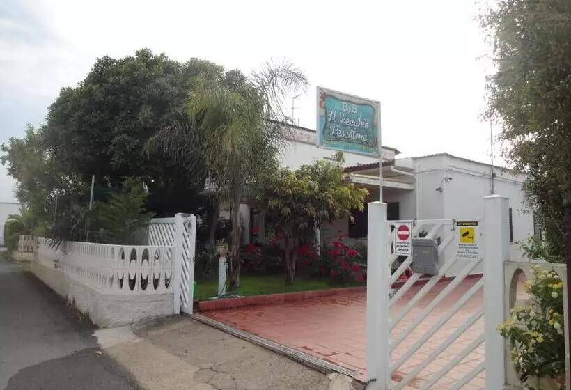 ベッドアンドブレックファースト Il Vecchio Pescatore