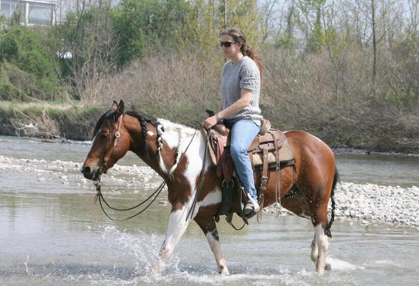 בית מלון כפרי Cowboys Guest Ranch
