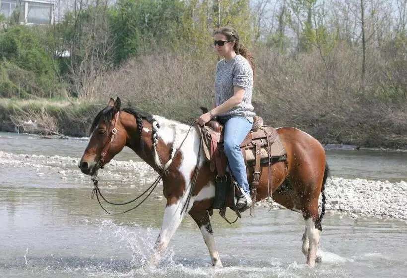 Hotelli Cowboys Guest Ranch