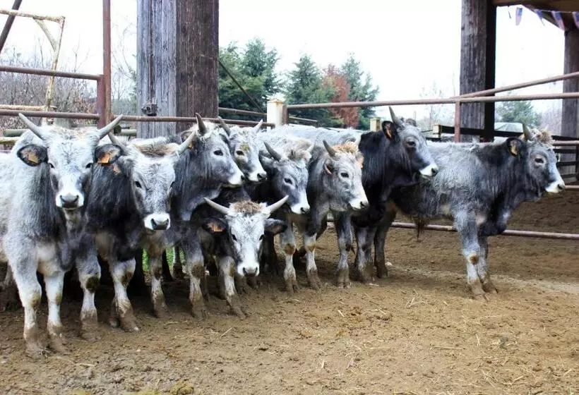 Hotelli Cowboys Guest Ranch