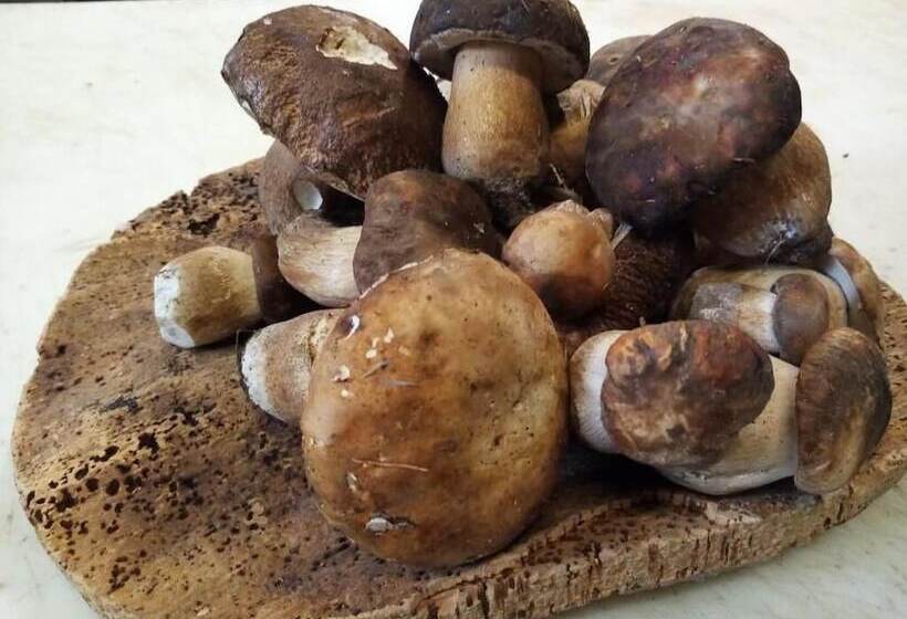 فندق Ristorante Stella