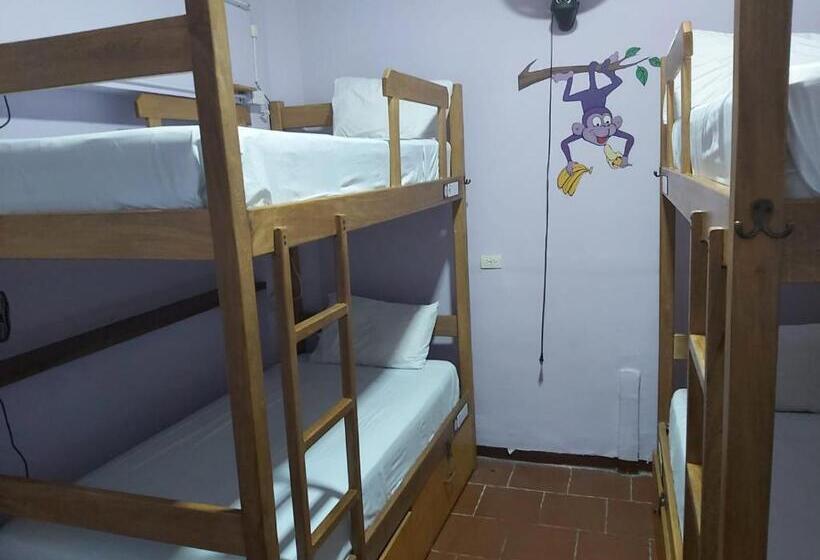Purple Monkey Hostel