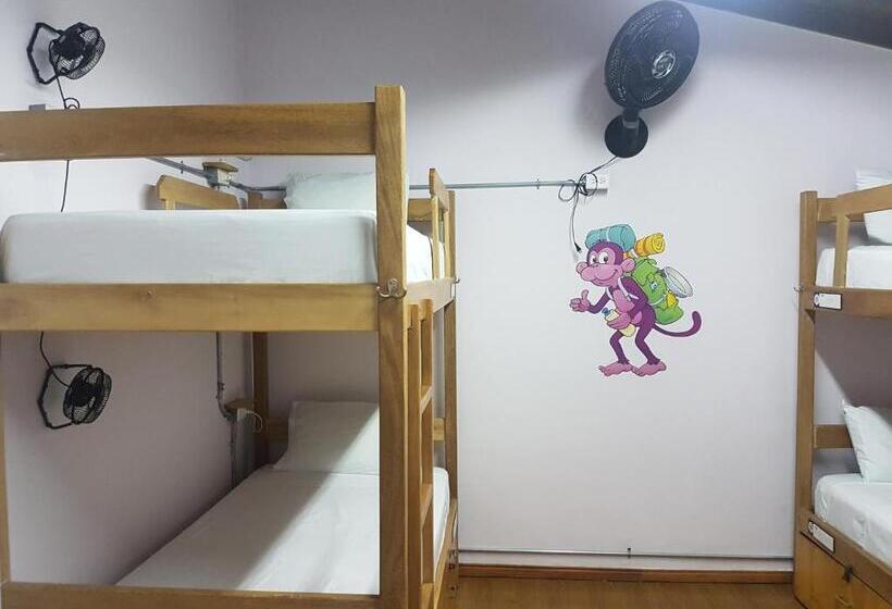 Purple Monkey Hostel