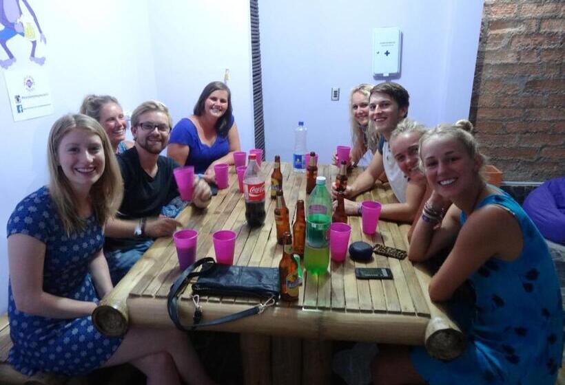 Purple Monkey Hostel