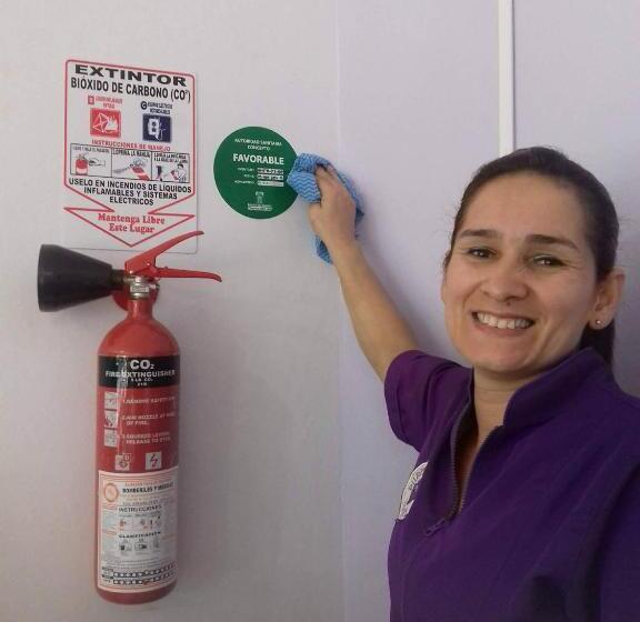 Purple Monkey Hostel