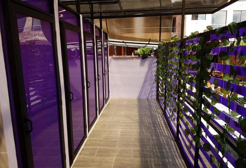 Purple Monkey Hostel