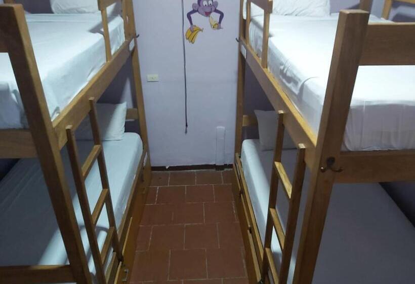 Purple Monkey Hostel
