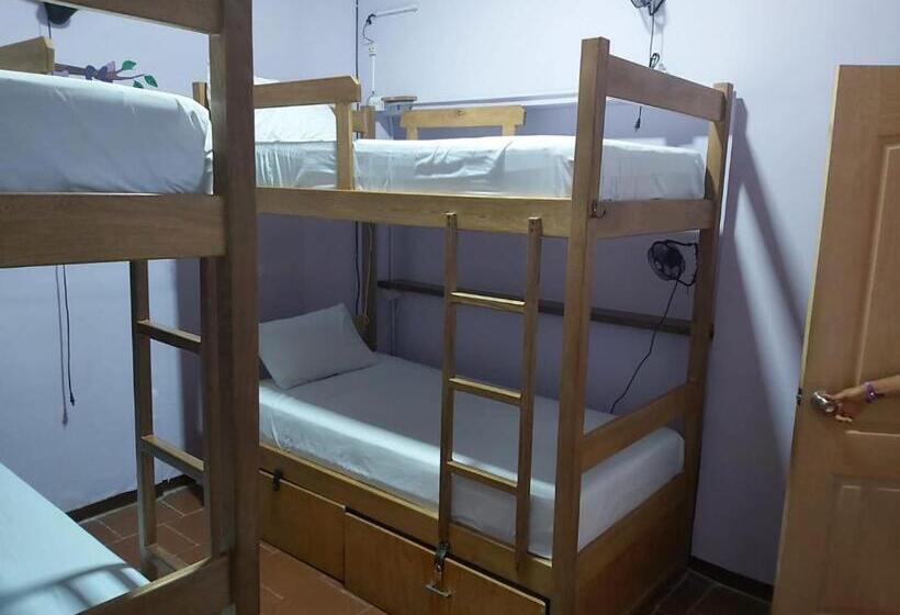 Purple Monkey Hostel