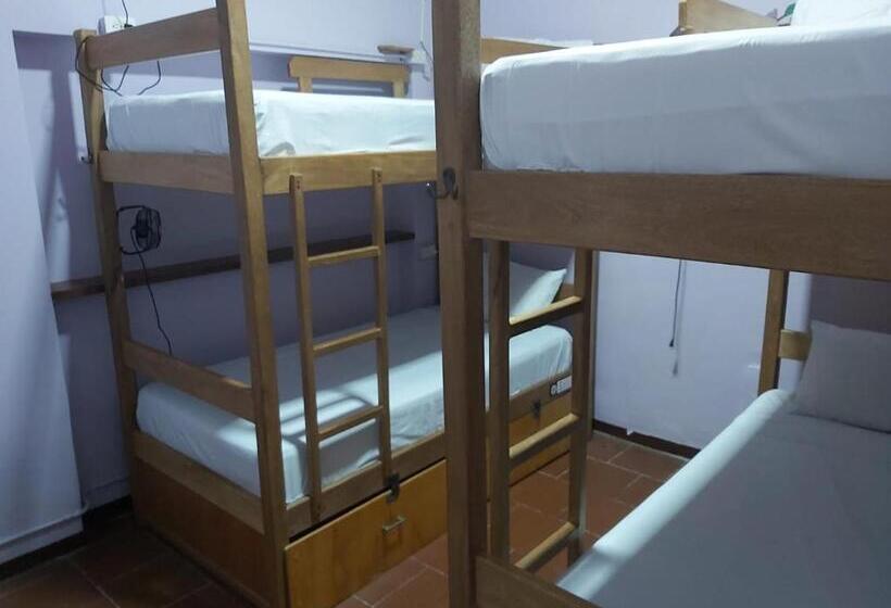 Purple Monkey Hostel