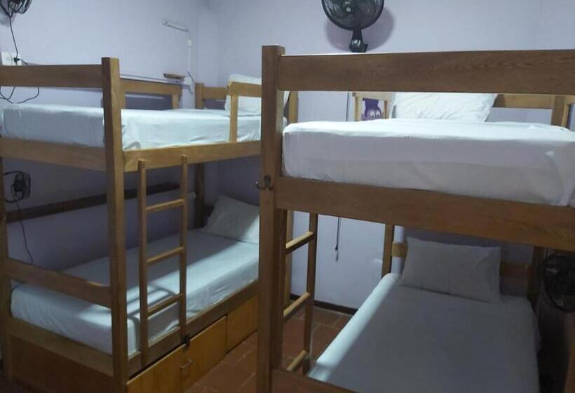 Purple Monkey Hostel